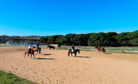 Les Poneys de Sophie