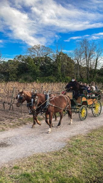 Christmas market at the Clos des Roses estate